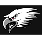 Livonia Eagles Youth Football and Cheer